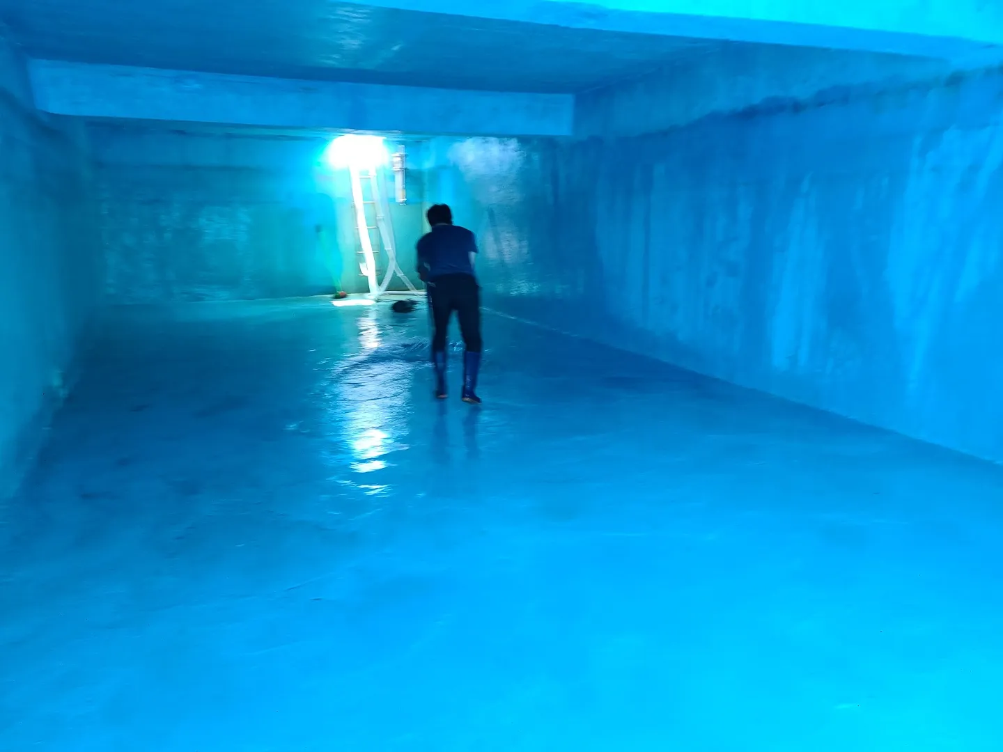 이미지 12