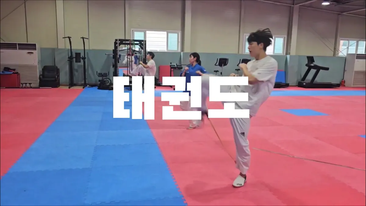 이미지 5
