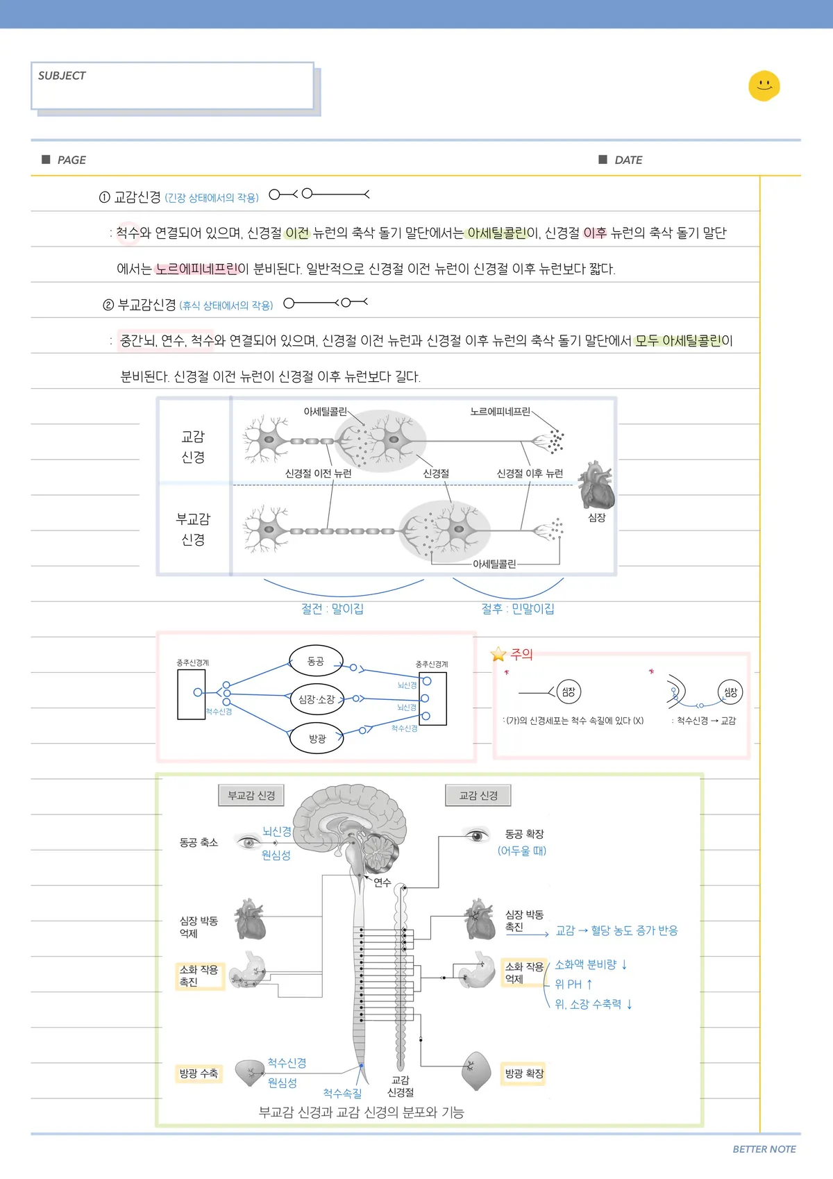 이미지 5
