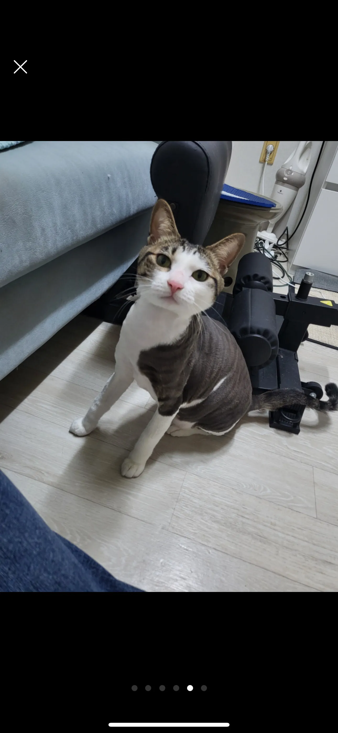 이미지 9