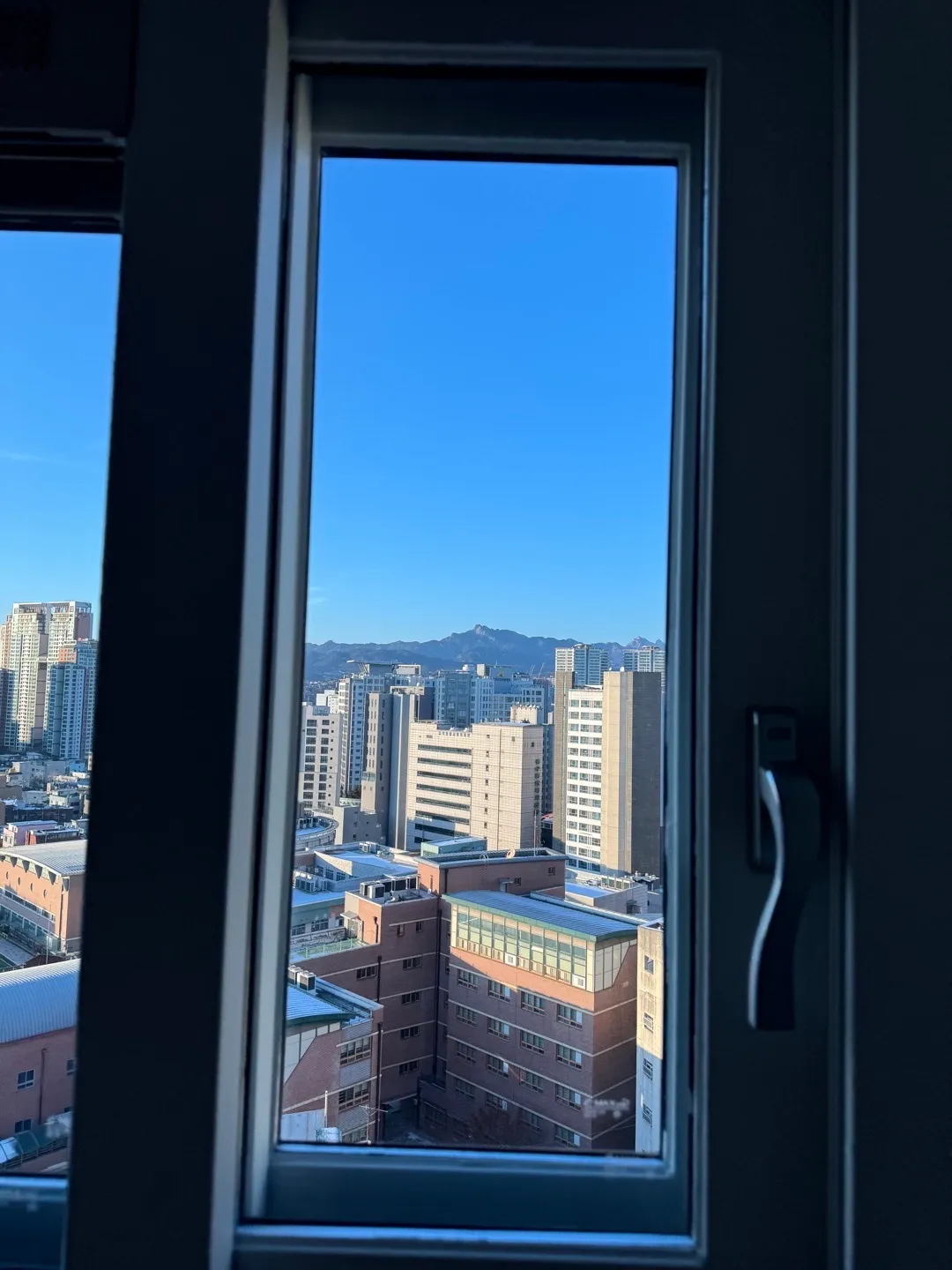 이미지 15