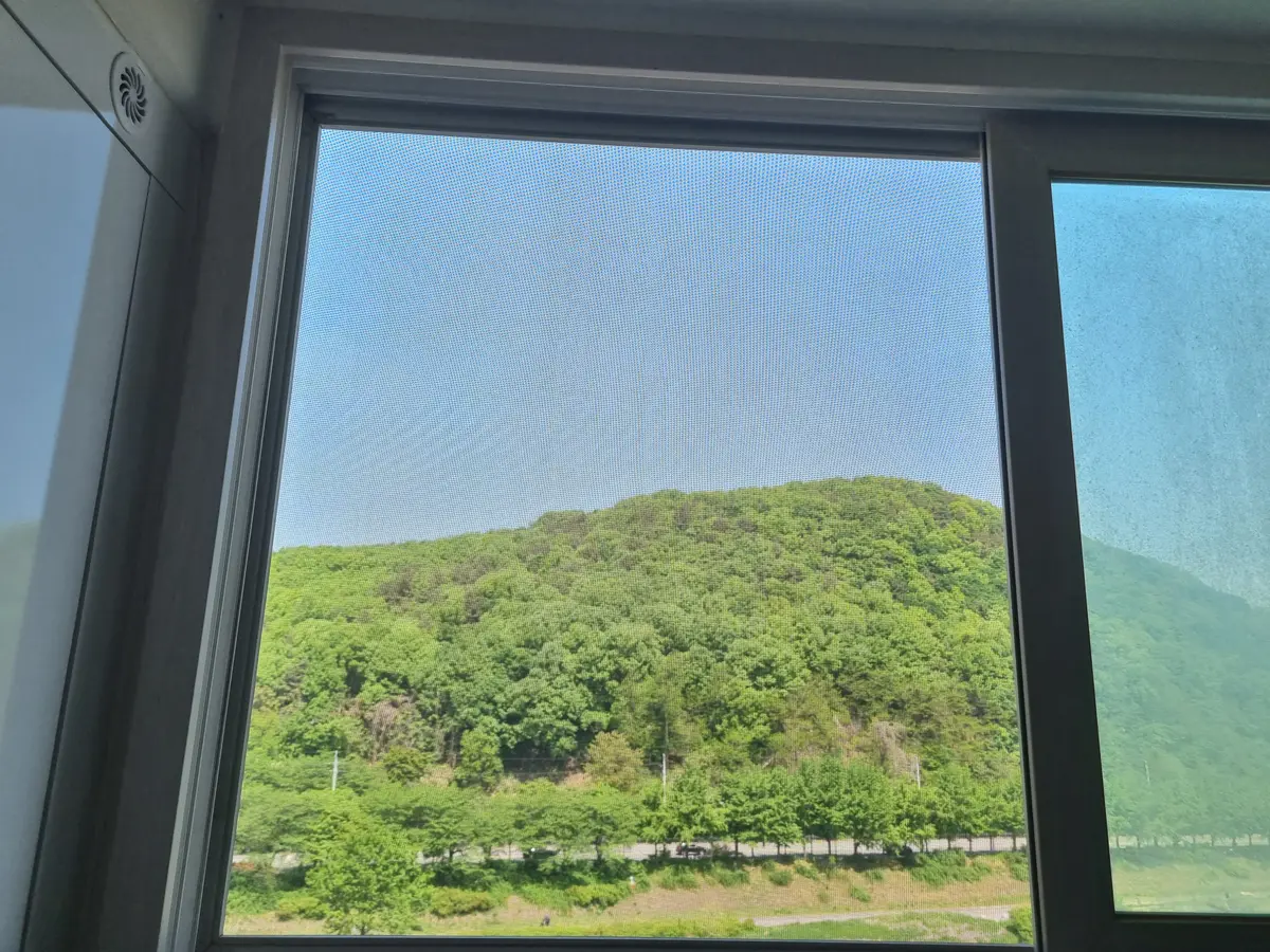 이미지 13
