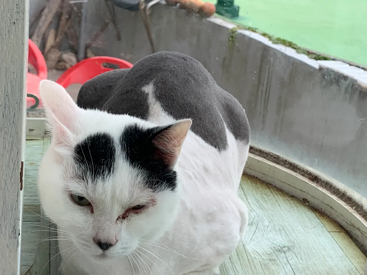 이미지 3