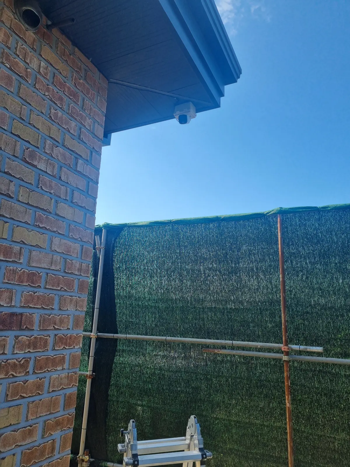 이미지 8