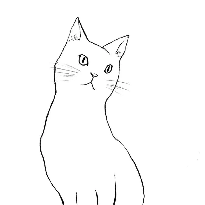 이미지 4