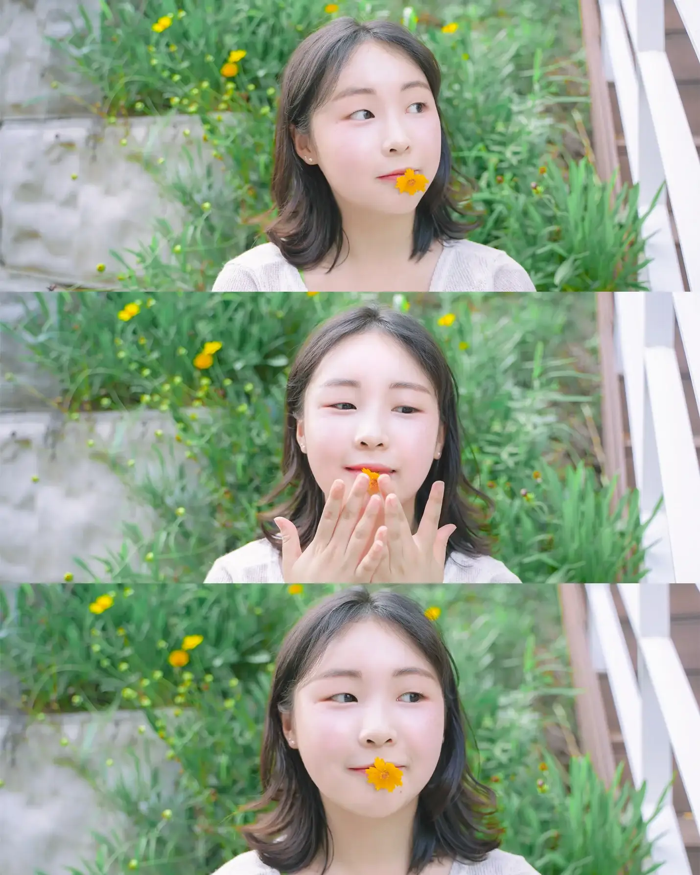 이미지 12