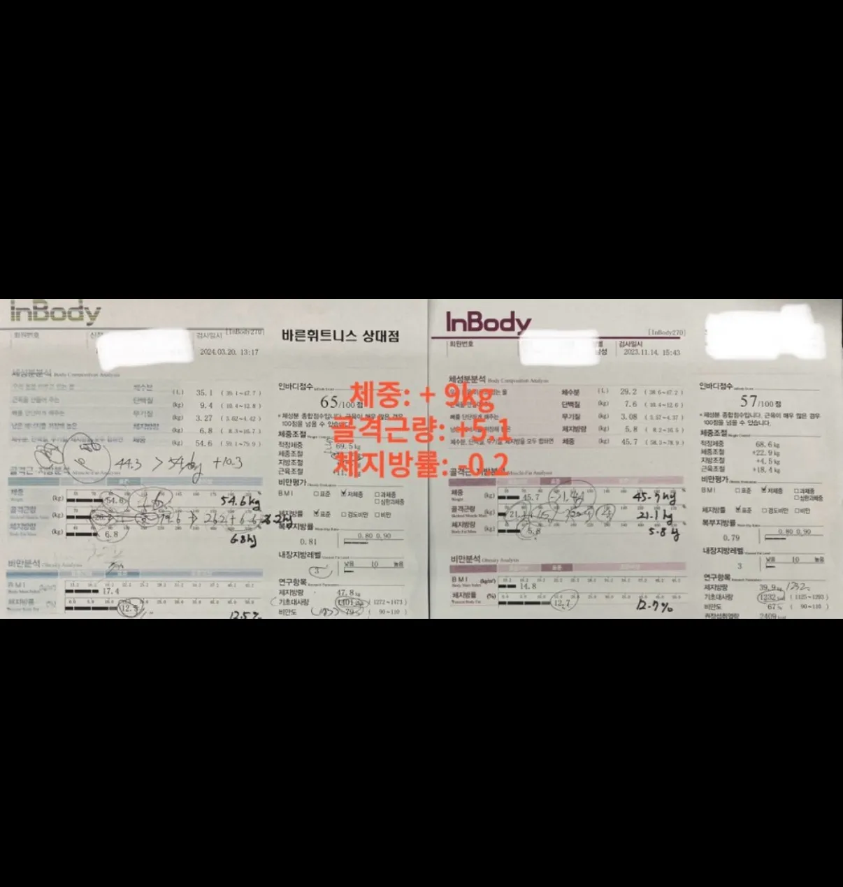 이미지 3