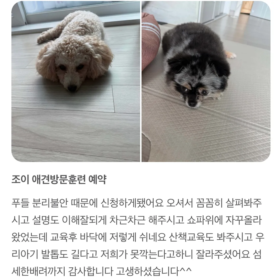 이미지 10