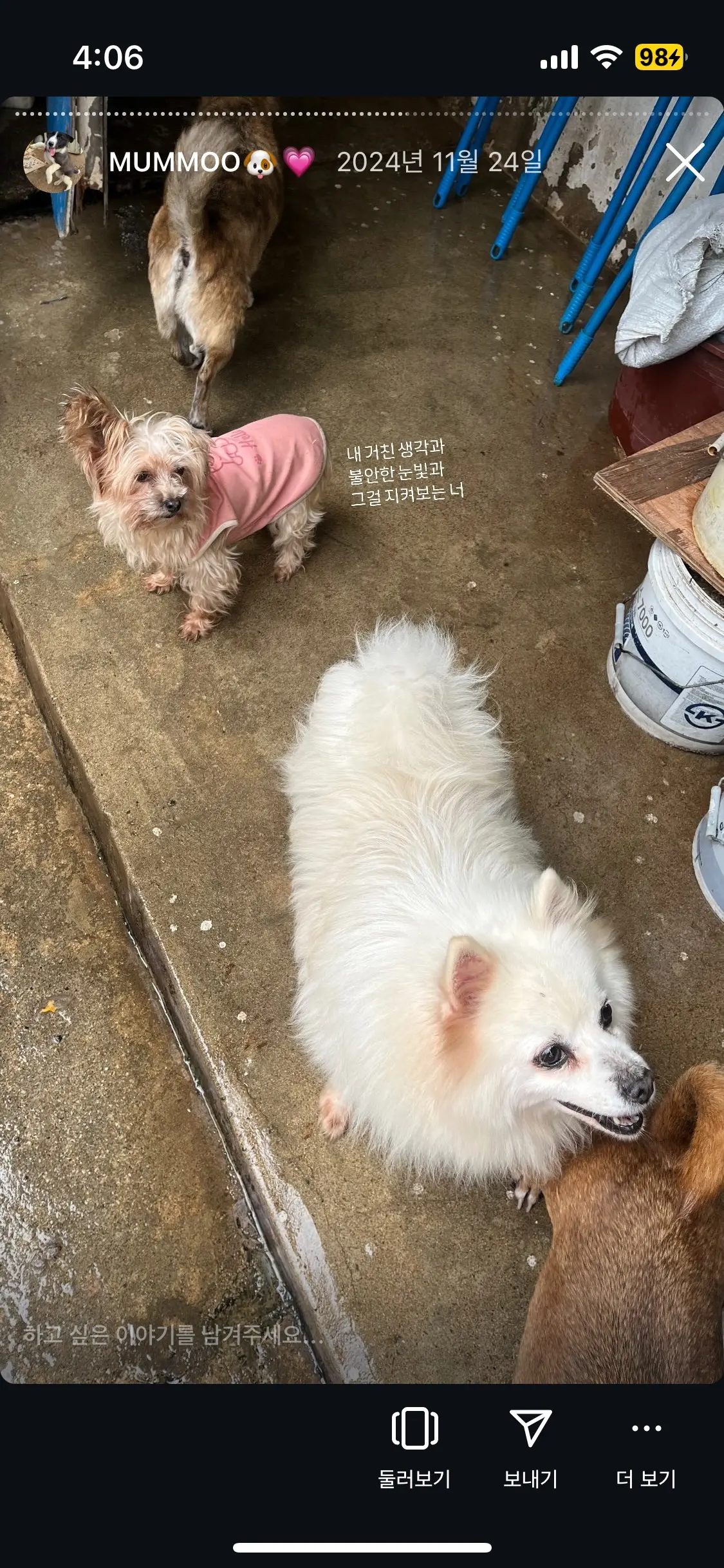 이미지 8