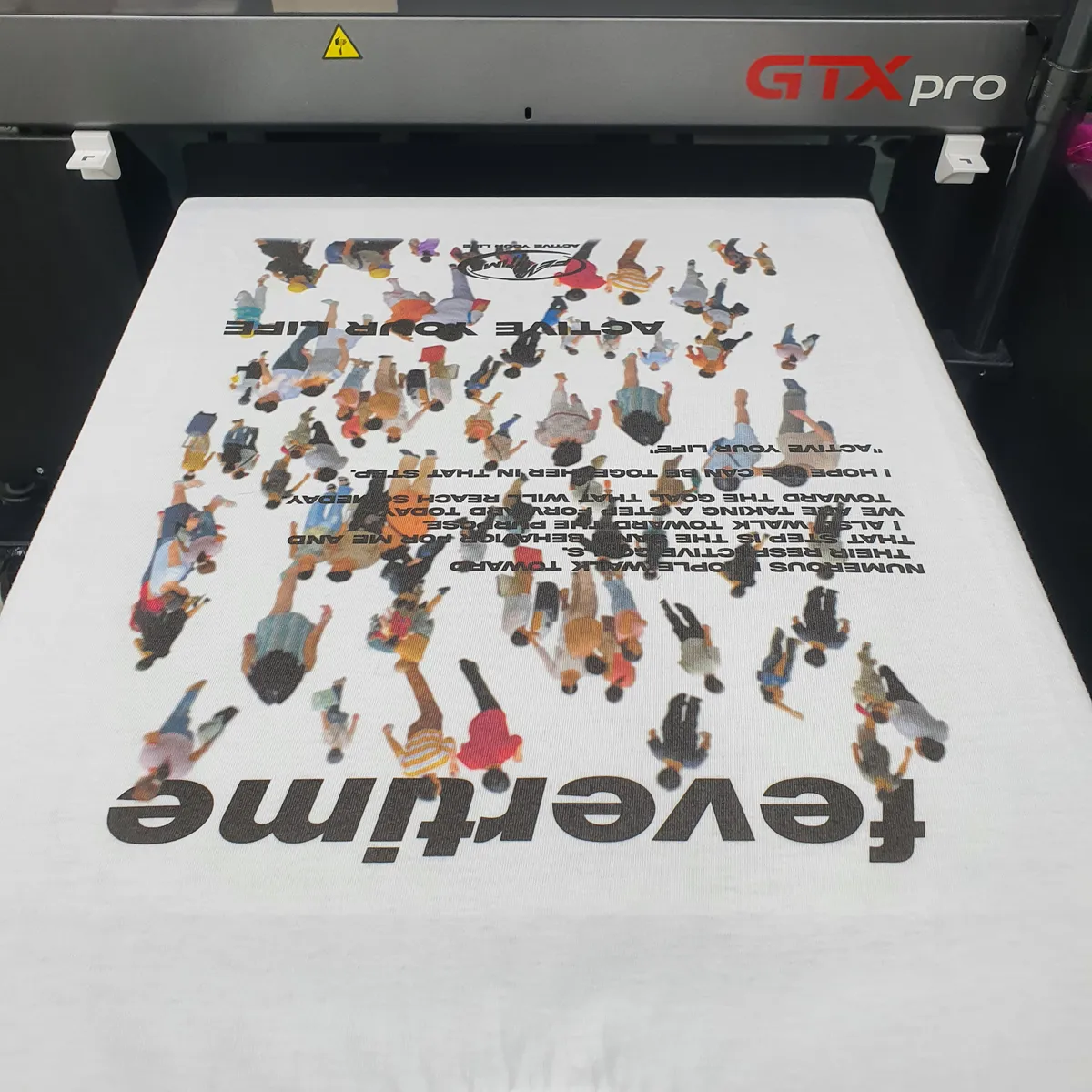 이미지 5