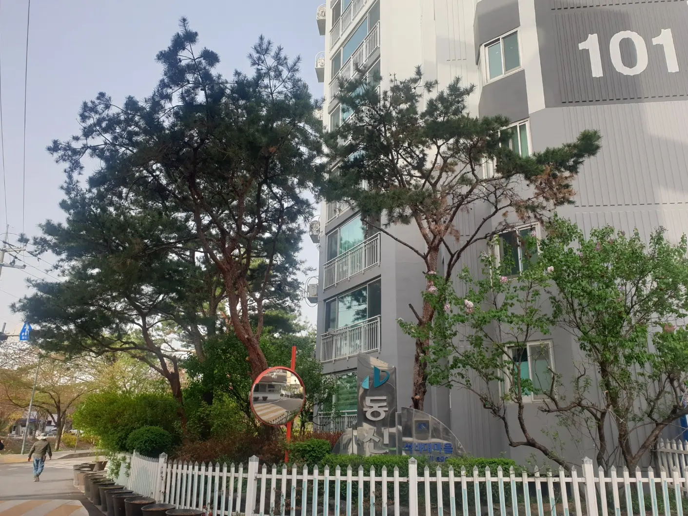 이미지 5