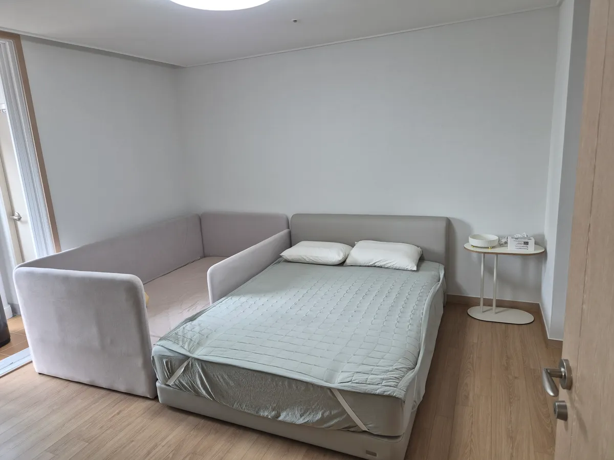 이미지 5