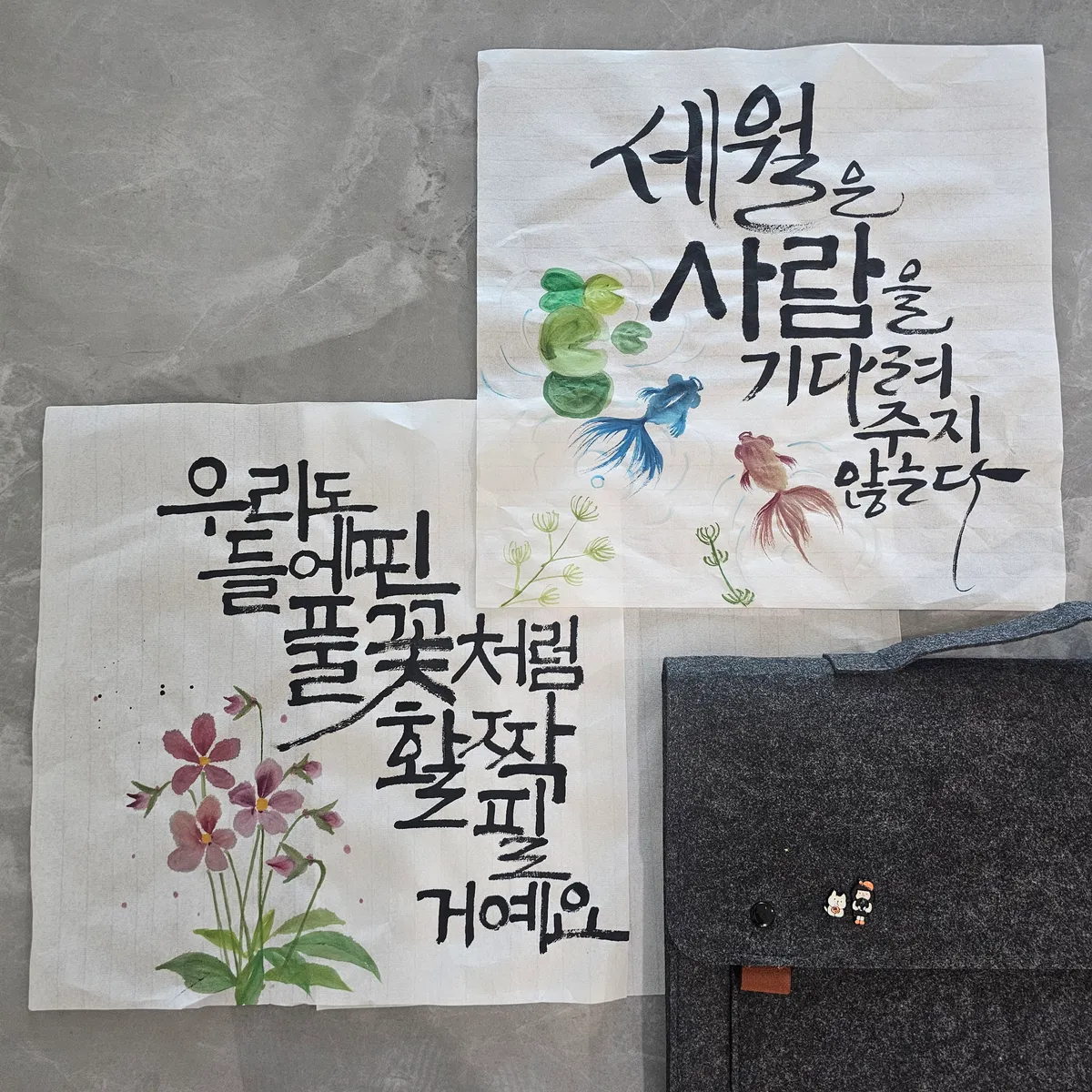 이미지 12