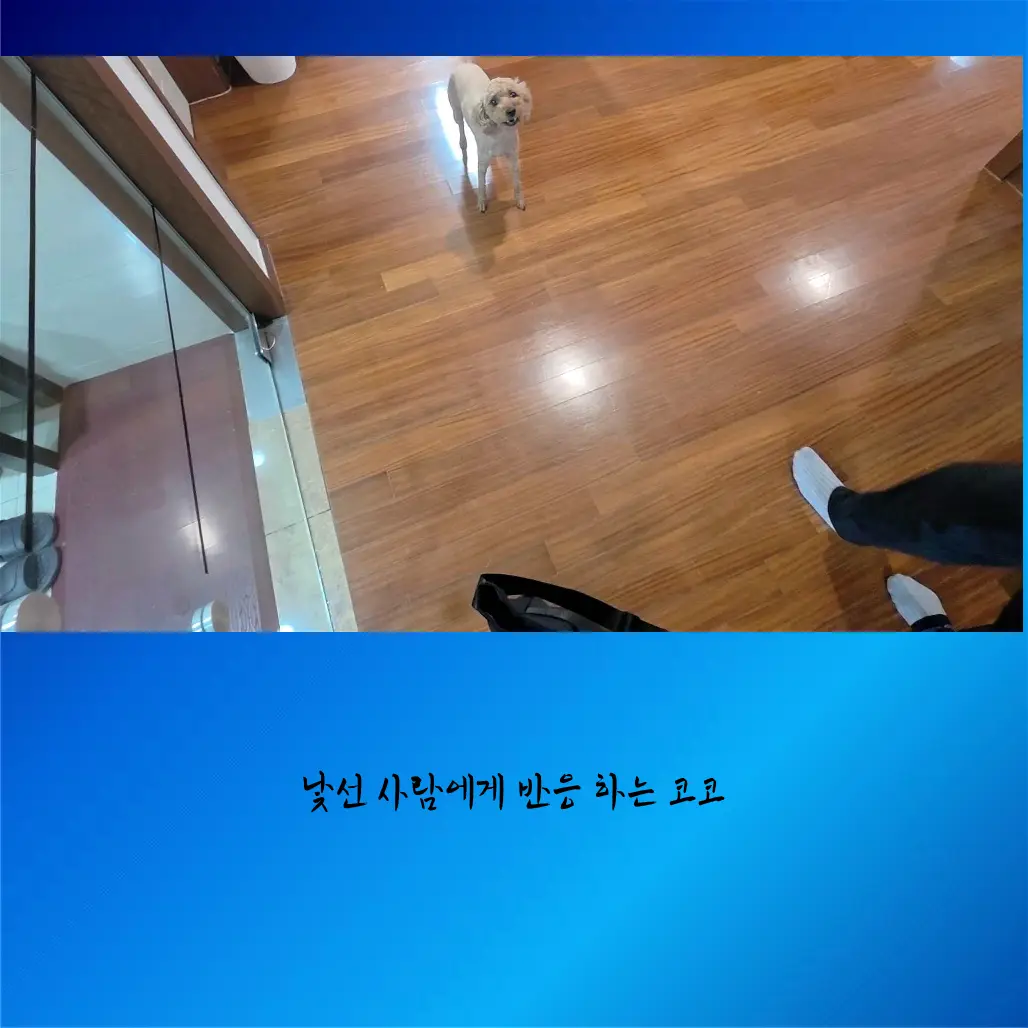 이미지 6