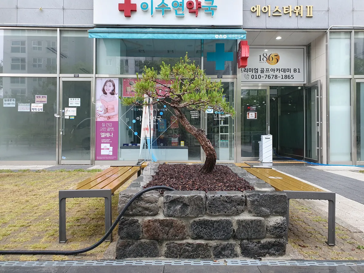 이미지 8