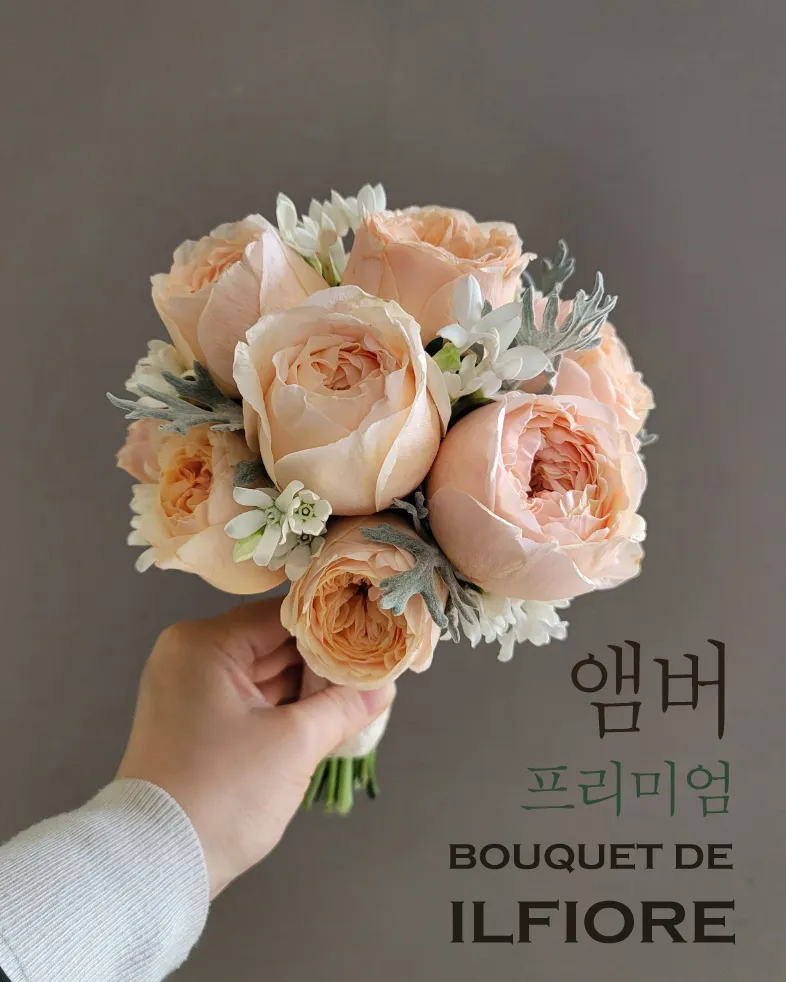 이미지 7