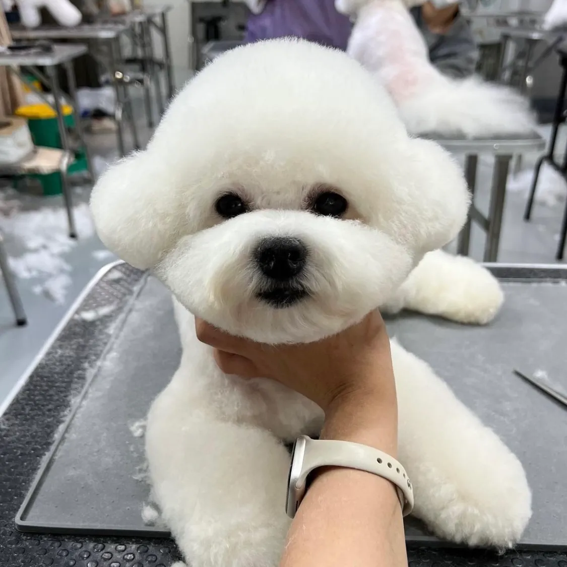 이미지 5
