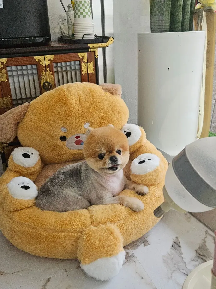 이미지 10