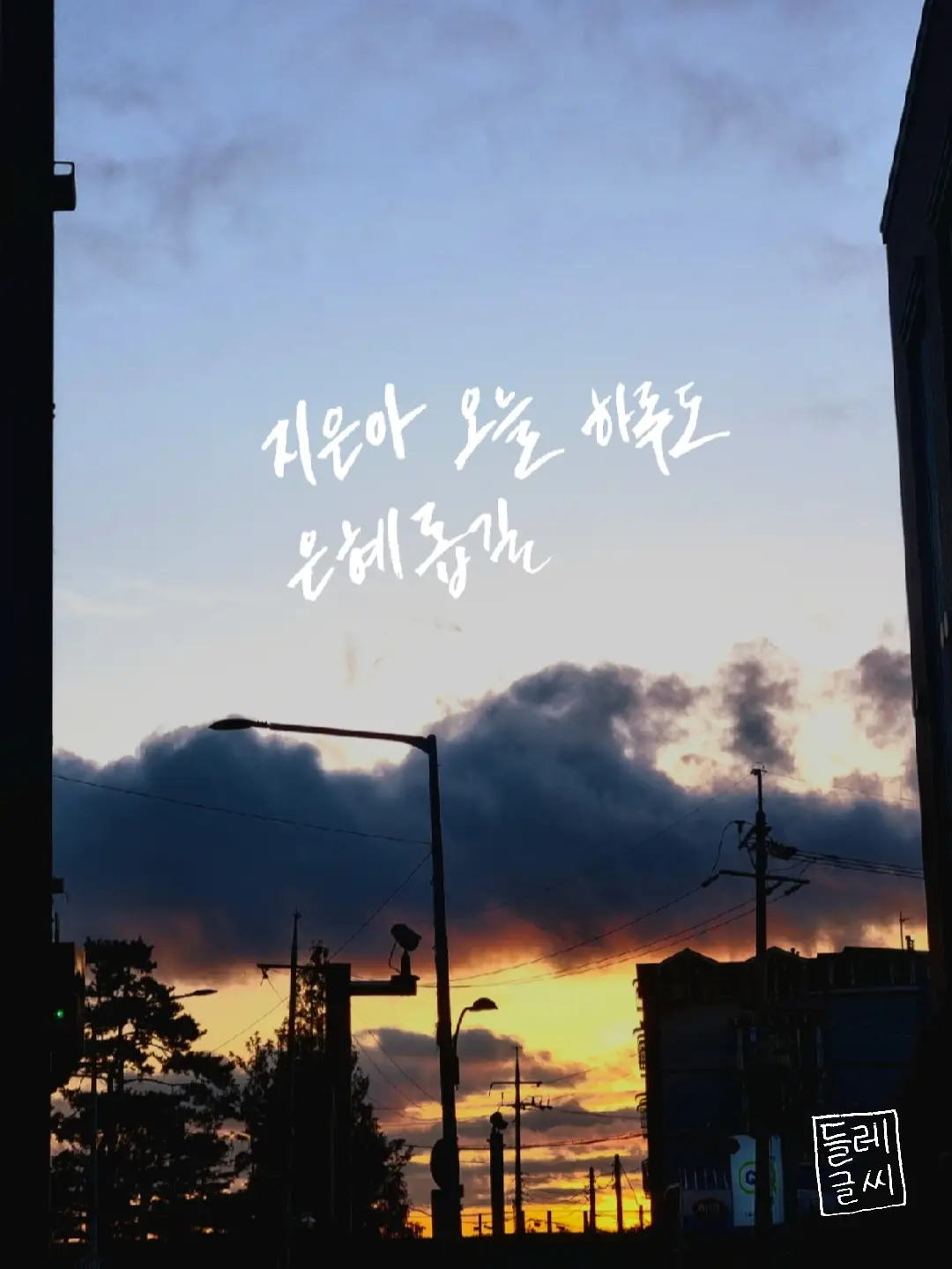 이미지 6