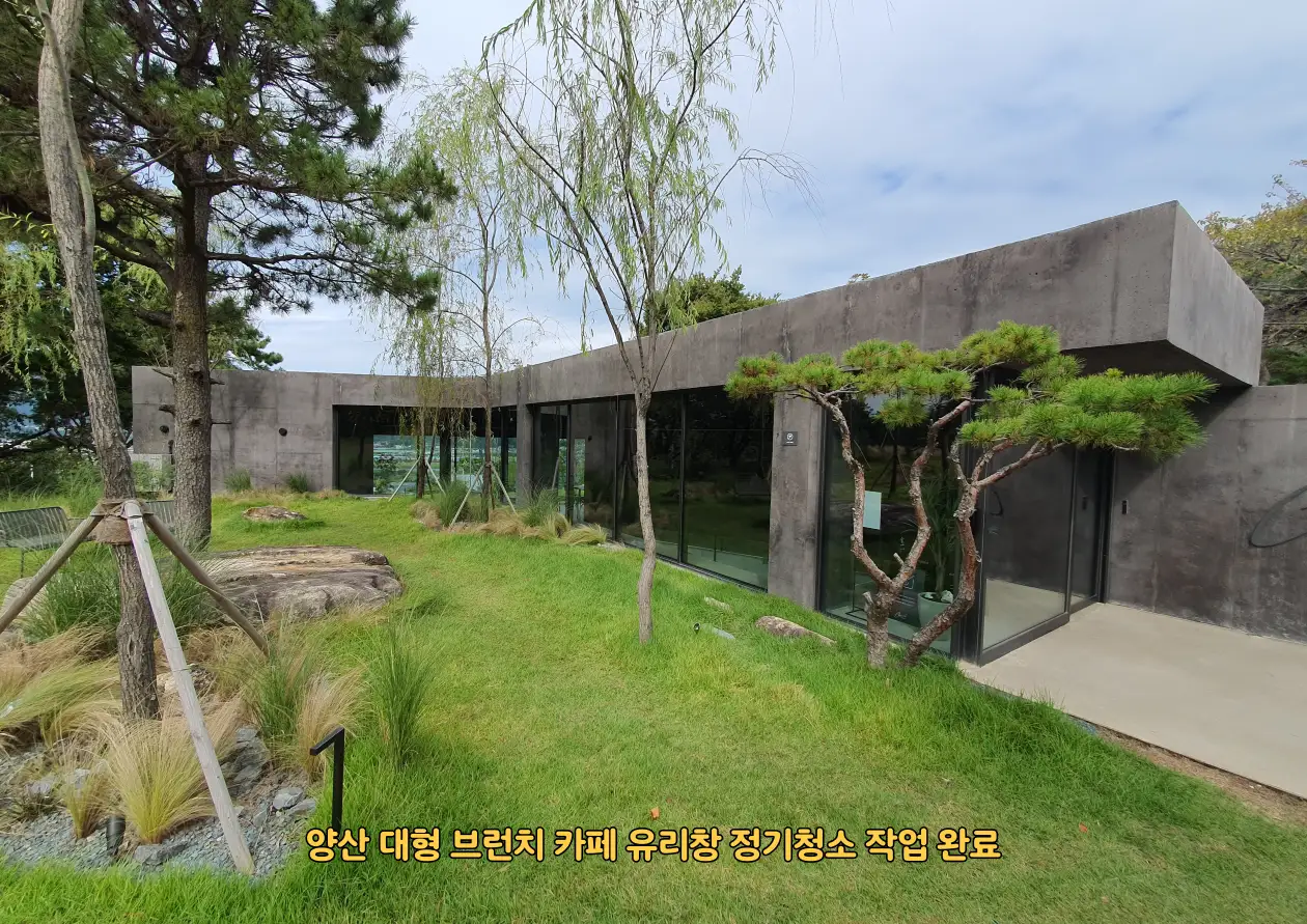 이미지 18