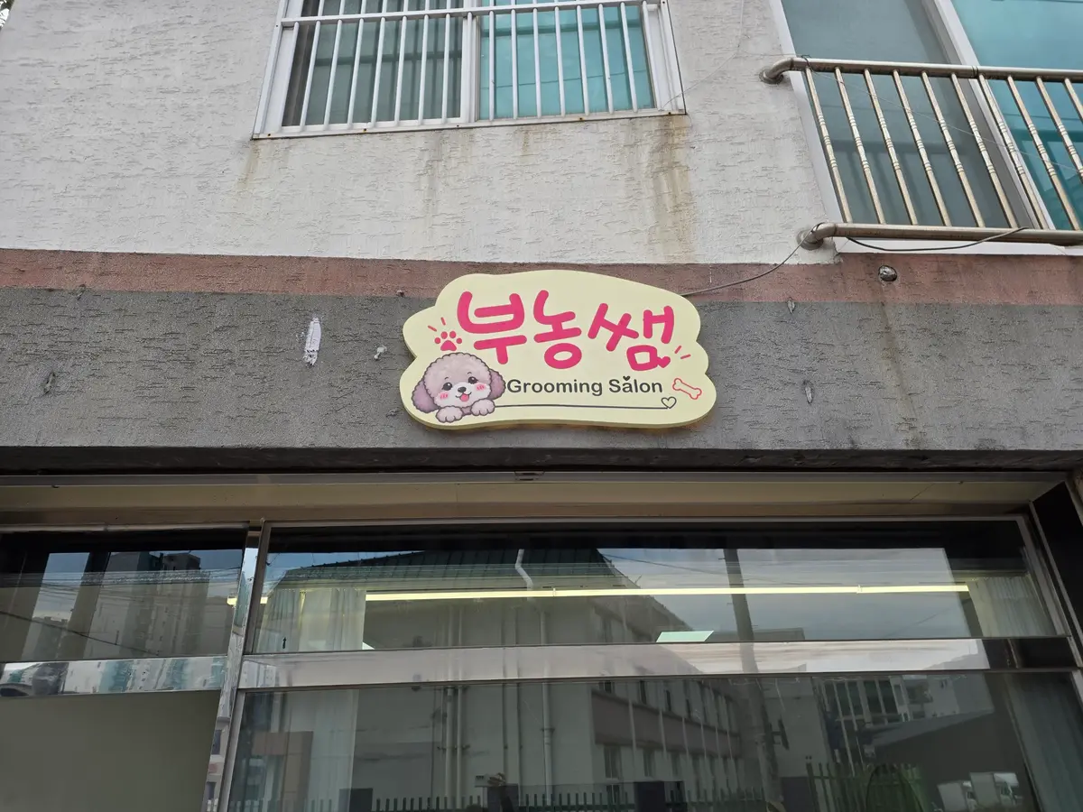 이미지 5