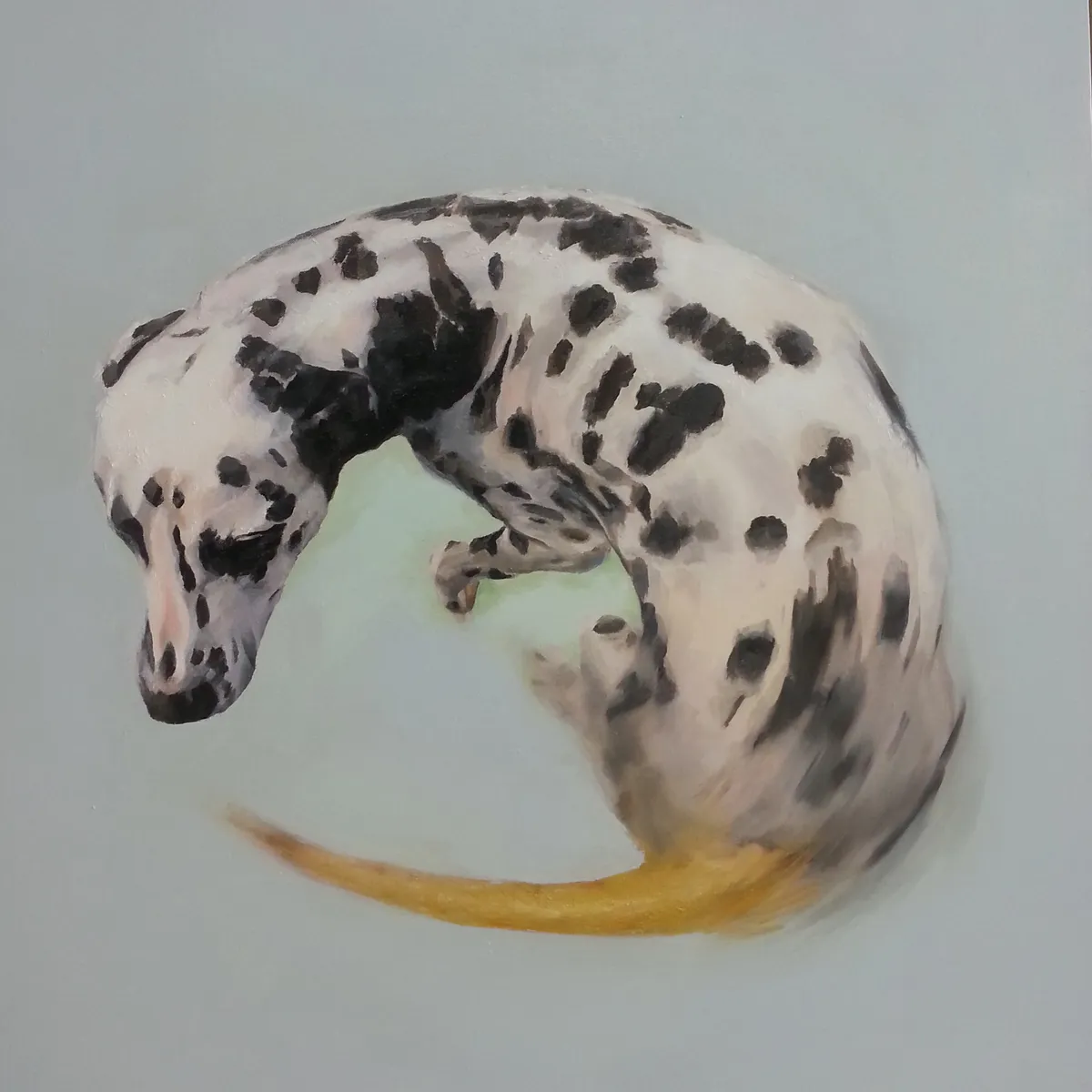 이미지 8