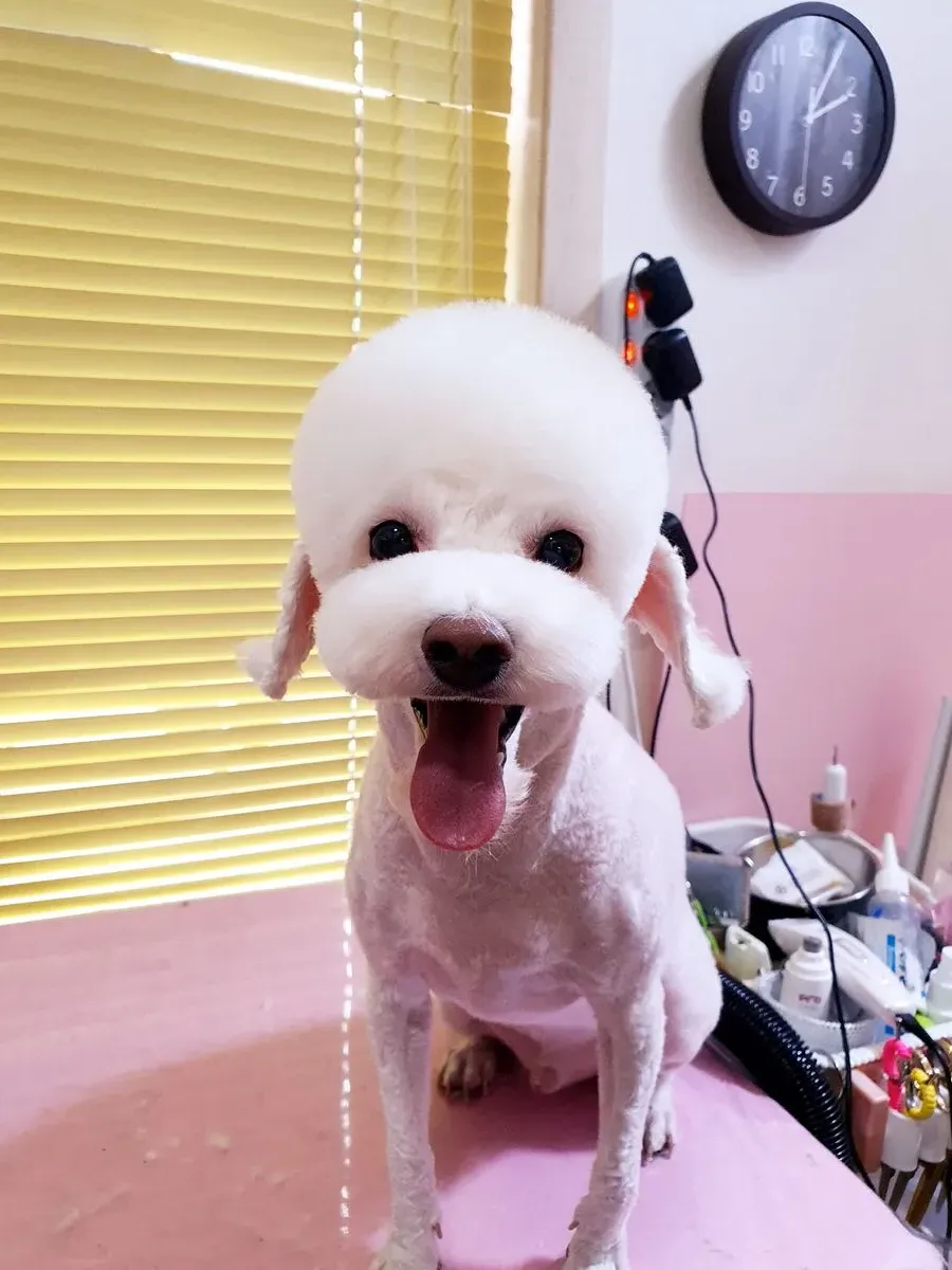 이미지 2