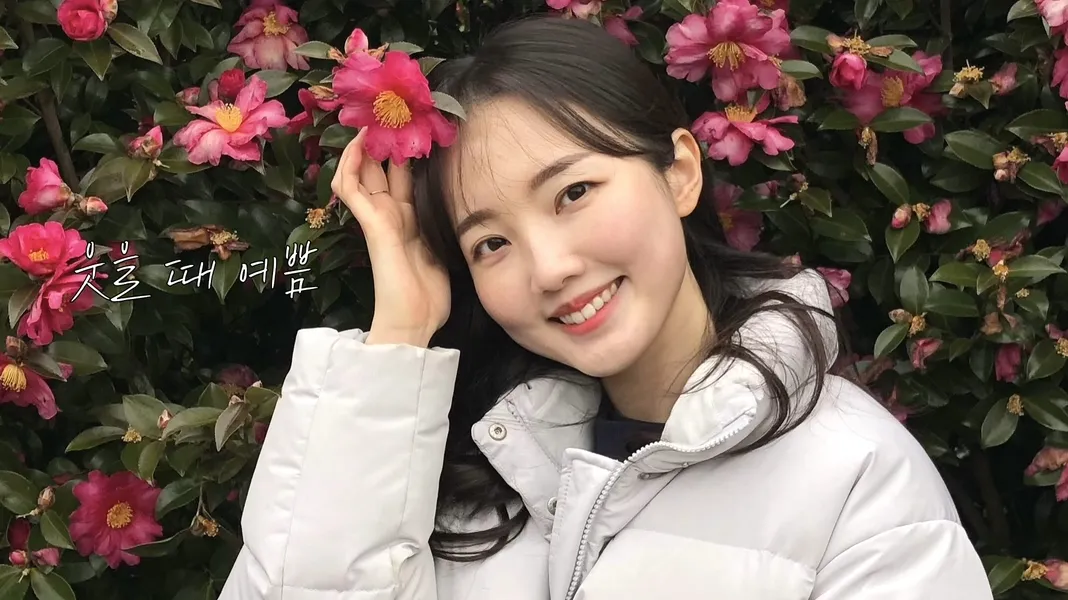이미지 11