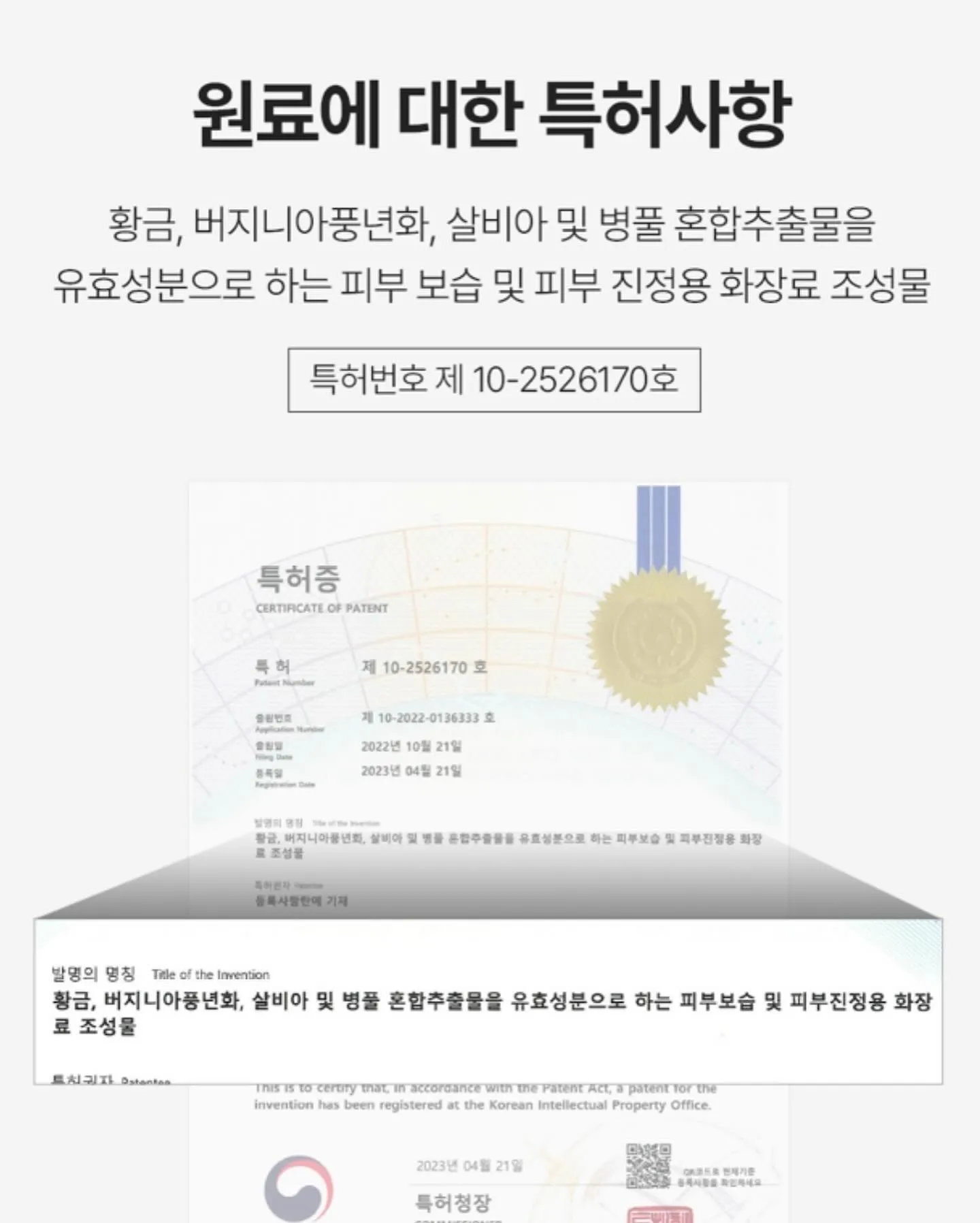 이미지 6