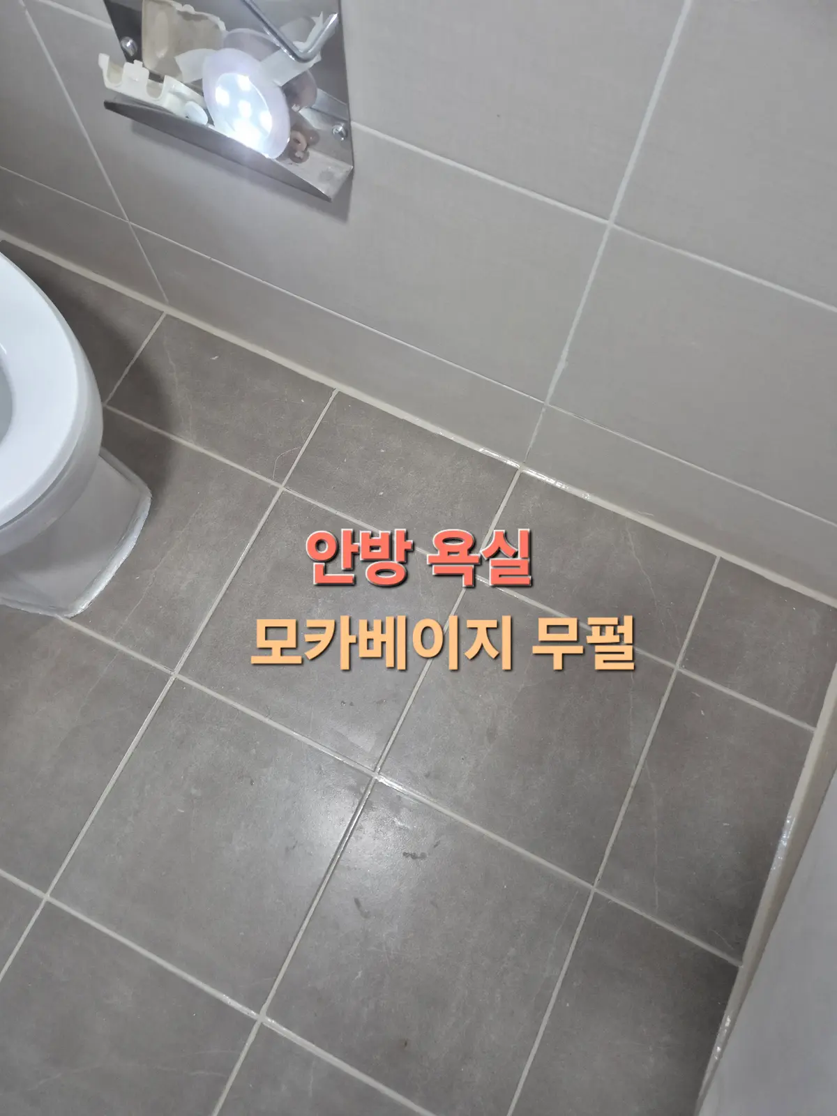 이미지 26