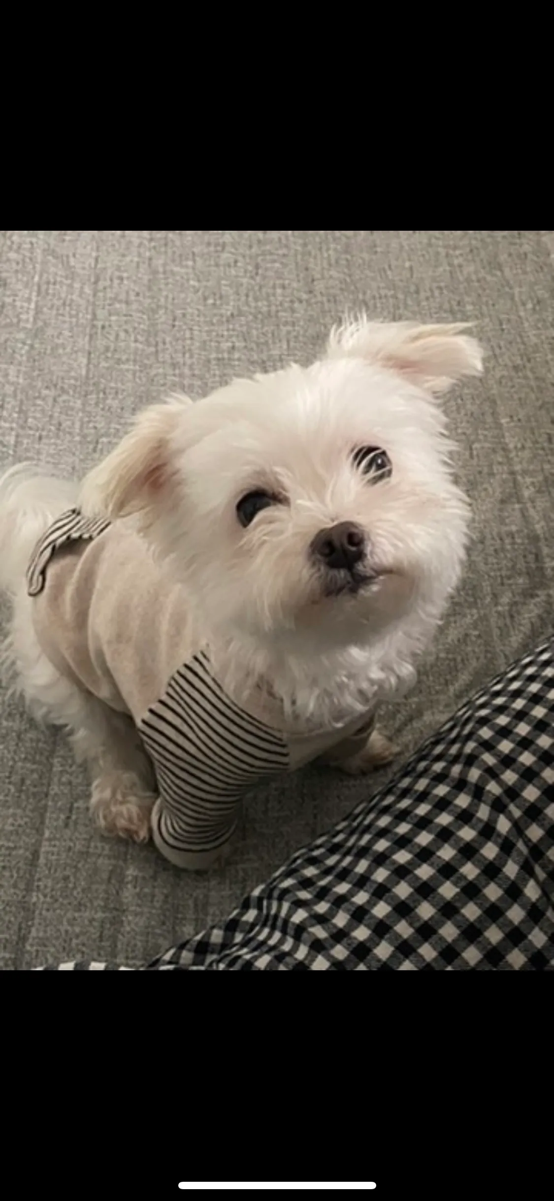 이미지 2