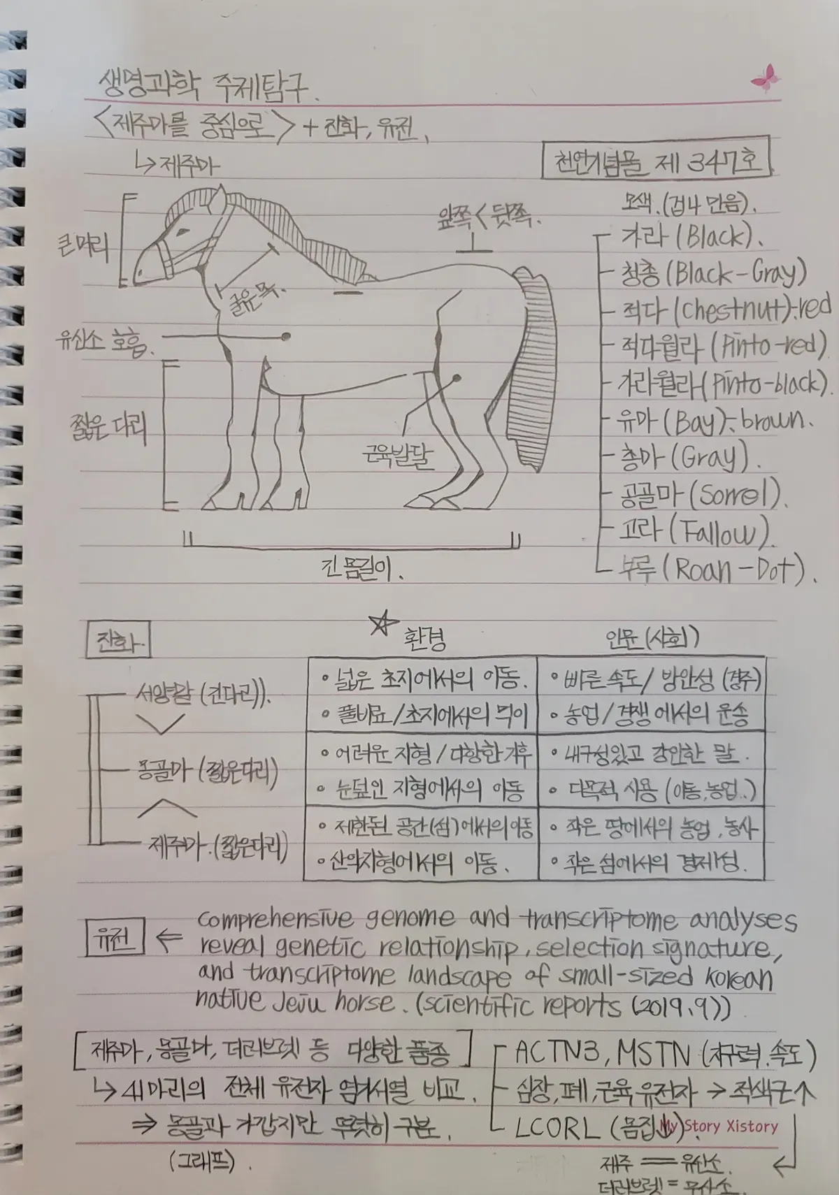 이미지 3