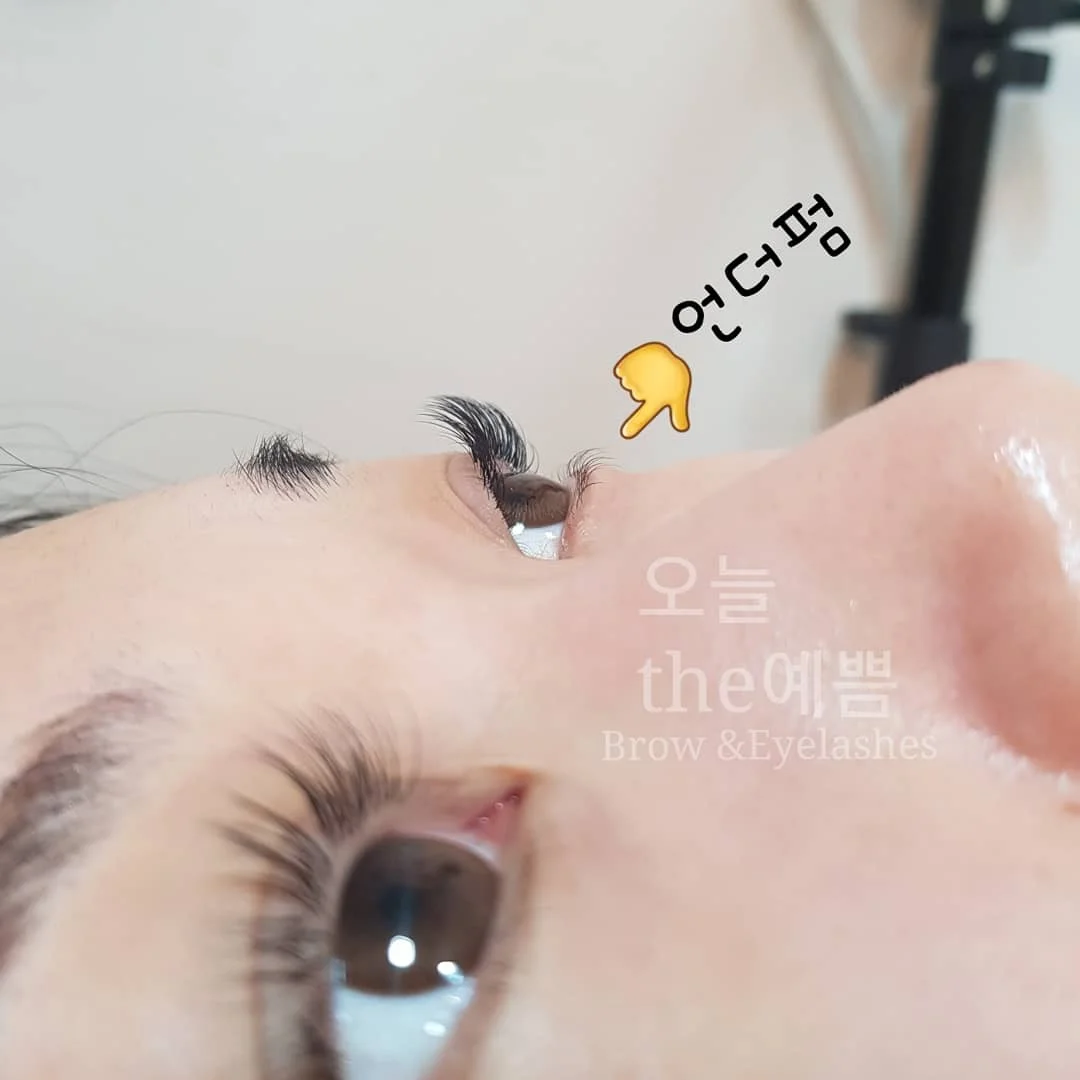 이미지 2