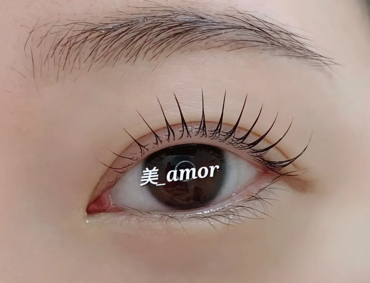 이미지 4