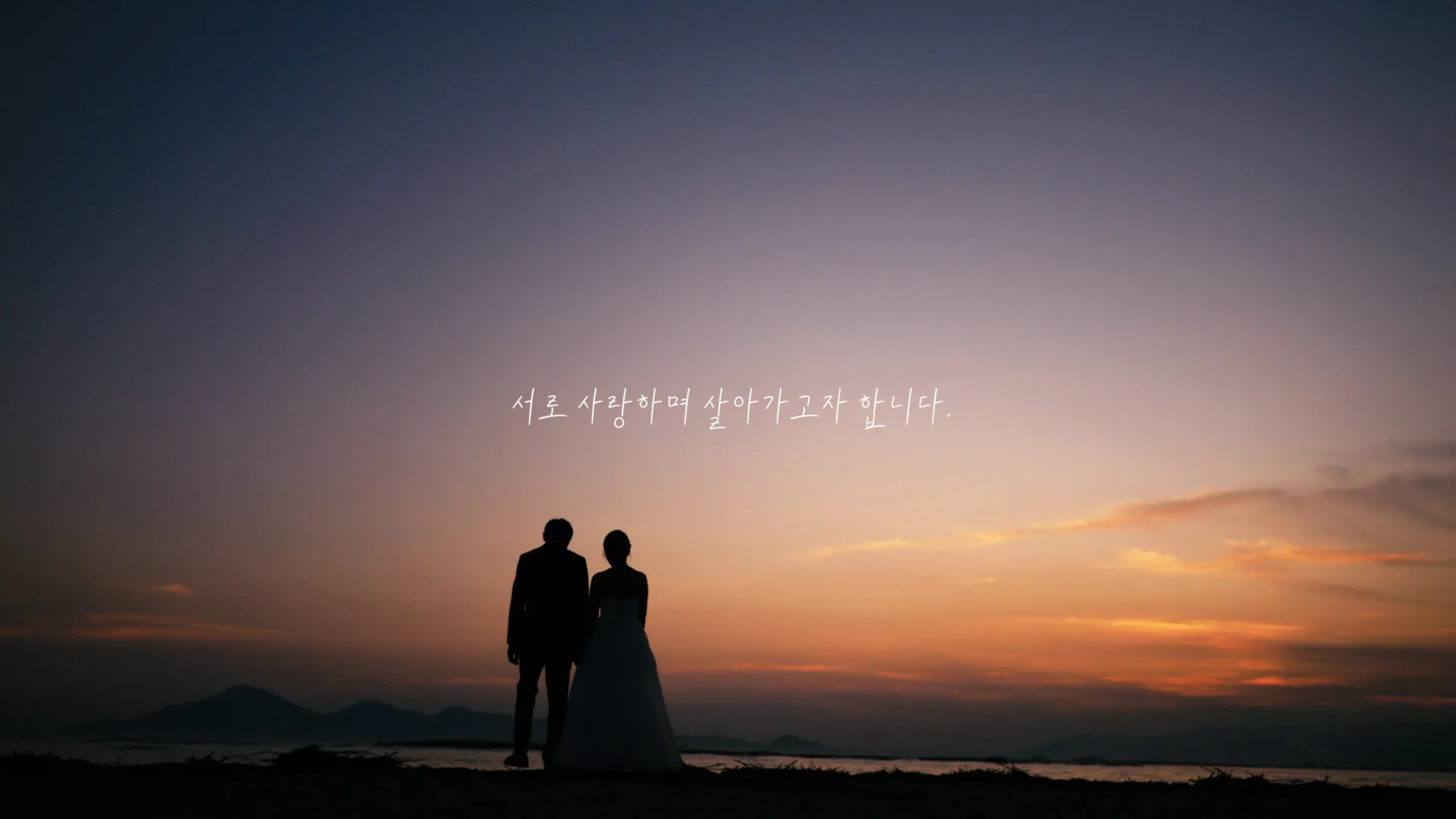 이미지 23