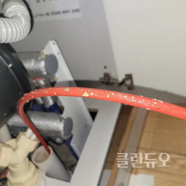 이미지 10
