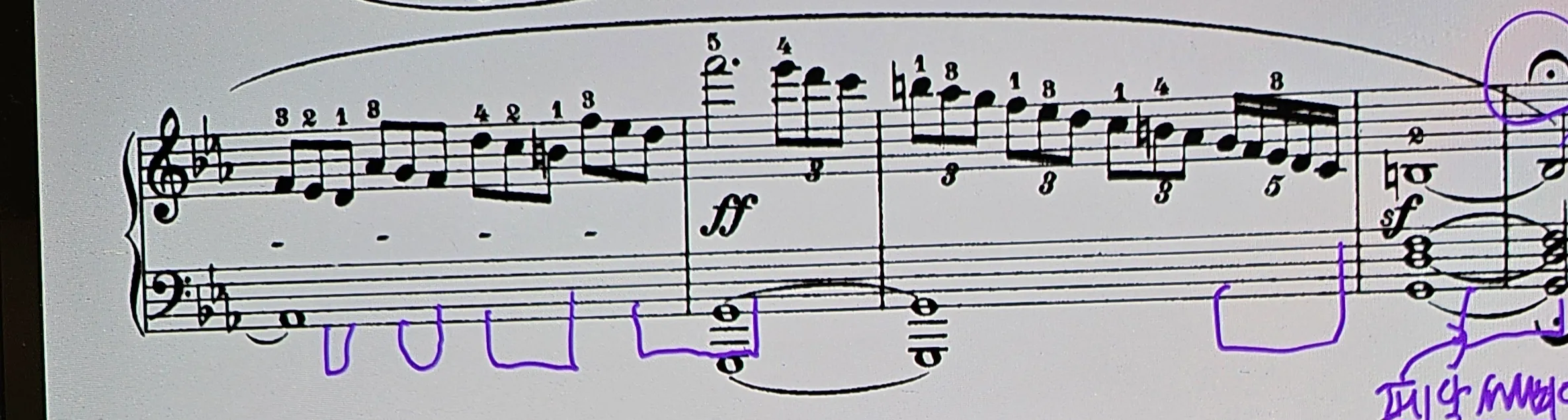 이미지 4