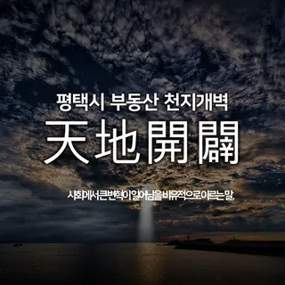 시장조사보고