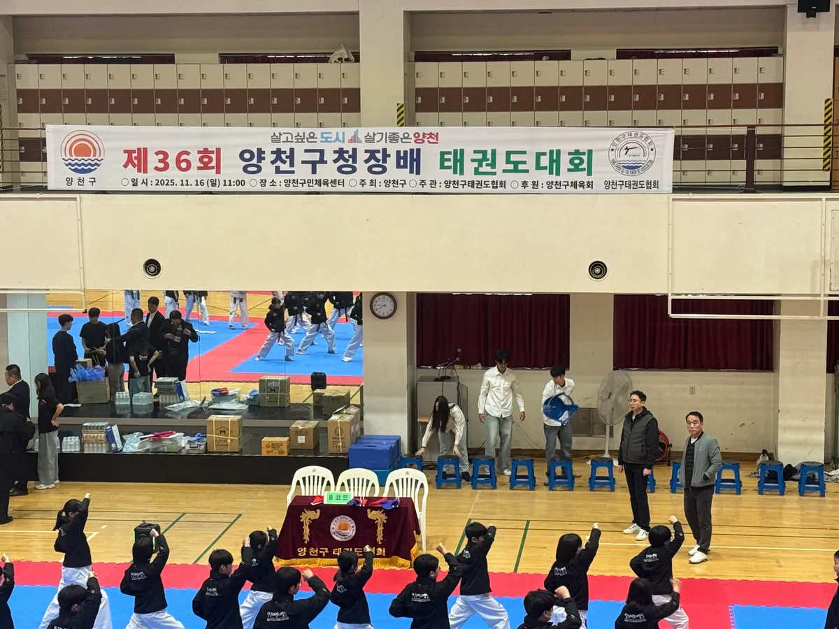 이미지 4