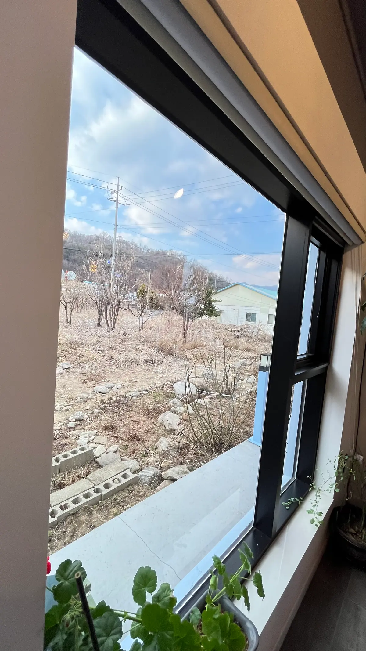 이미지 5