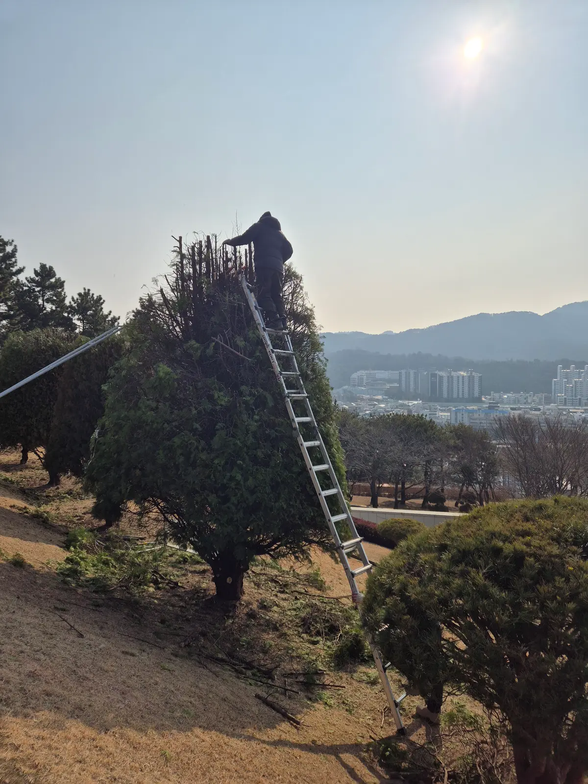 이미지 8