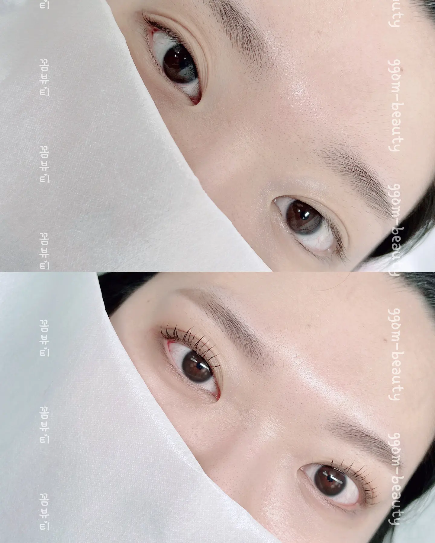 이미지 5