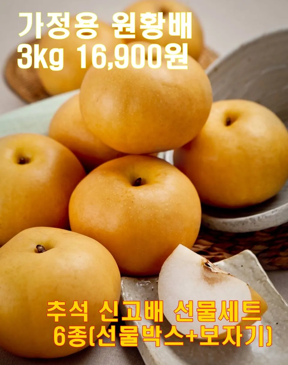 이미지 6
