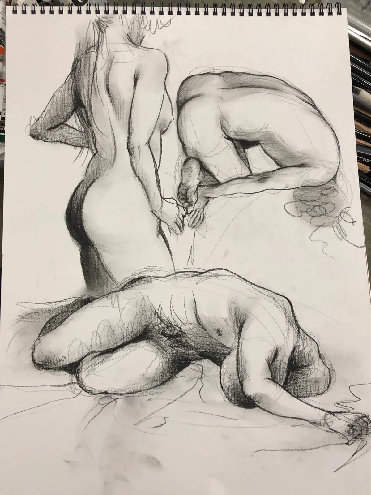 이미지 5