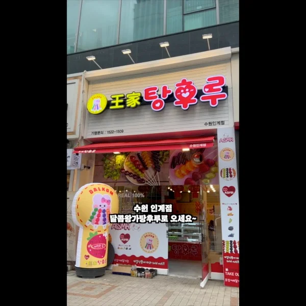 이미지 5