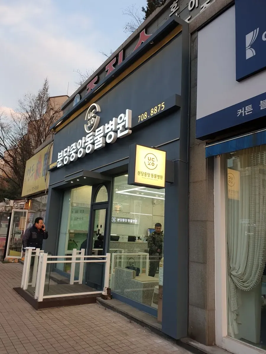 이미지 10