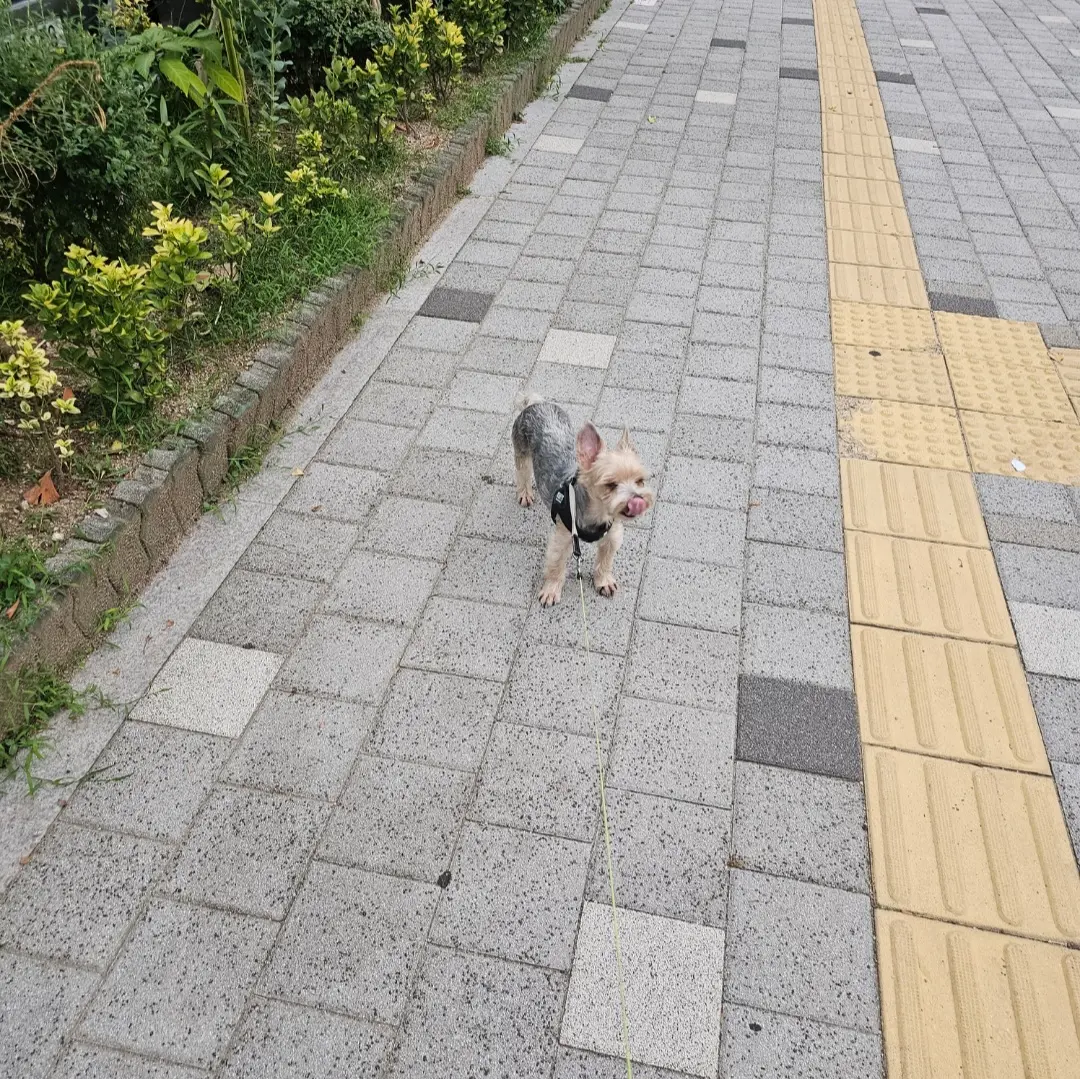 이미지 10