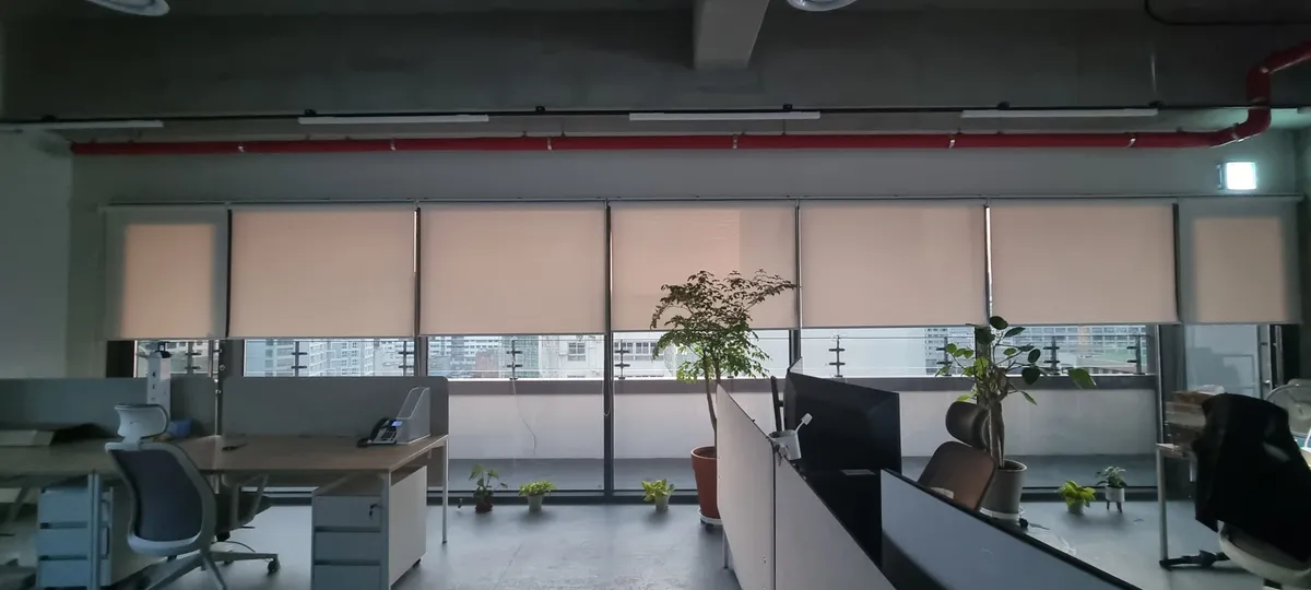 이미지 7