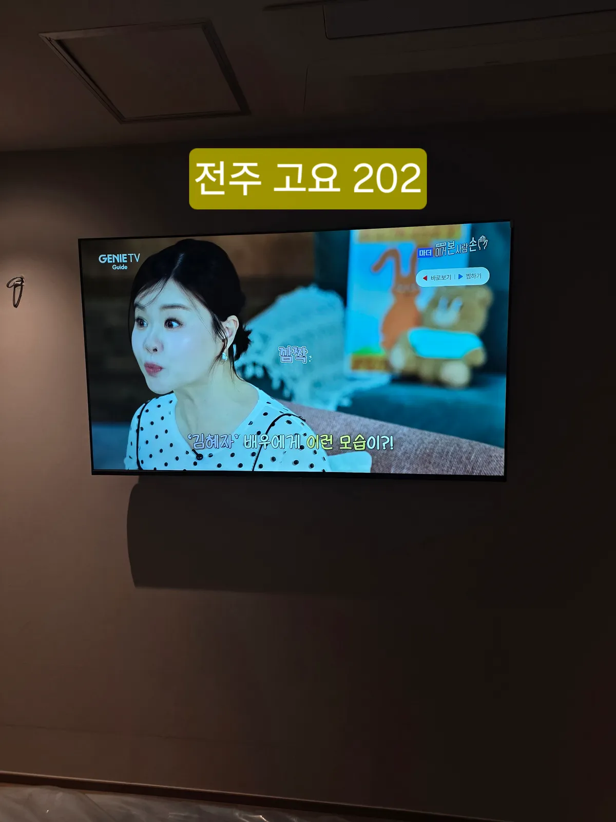 이미지 14