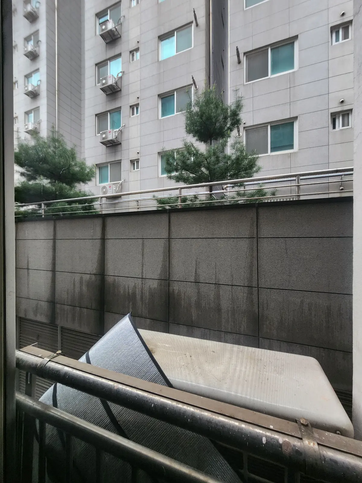이미지 6